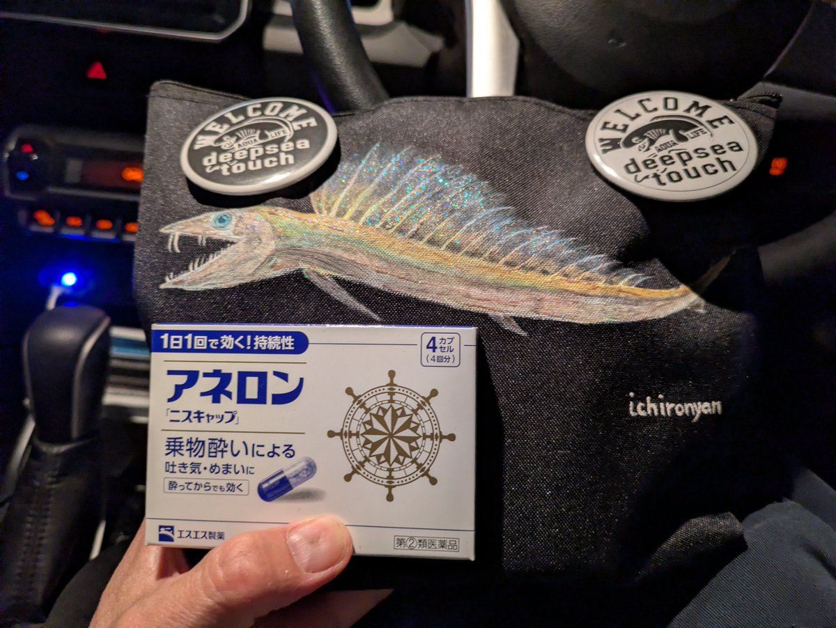 これよりフェリーにて九州の某離島へ向かいます。今回は船酔いしやすい人にほ優しくない日本海航路です。旅のお供のミズウオポーチと酔い止め薬最強との呼び声高い「アネロン」服用の万全の構えで行ってまいります。