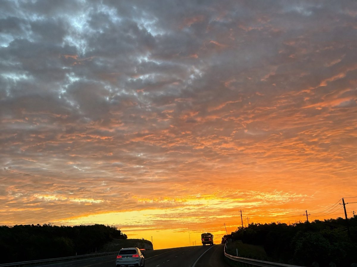 Jason Scharf tweet media