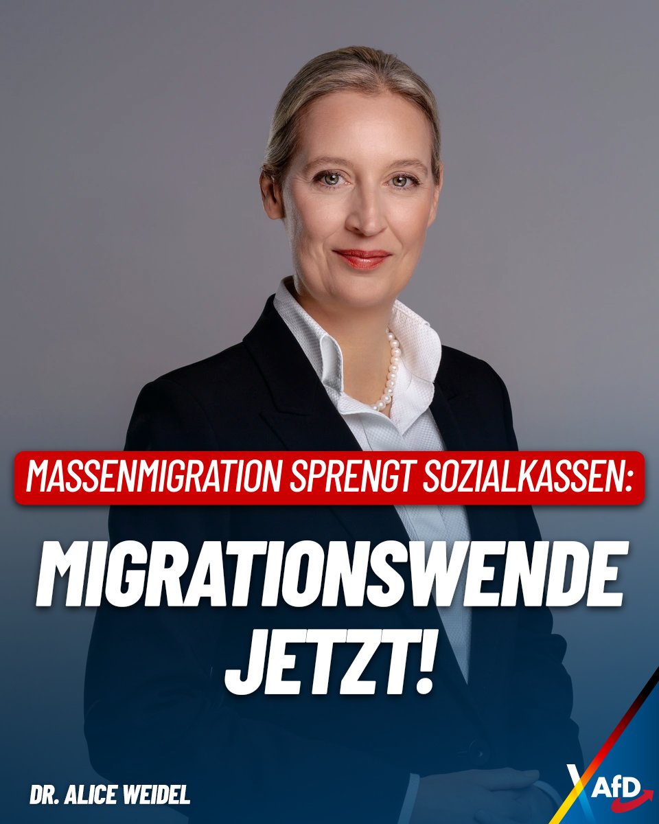 Alice Weidel tweet media