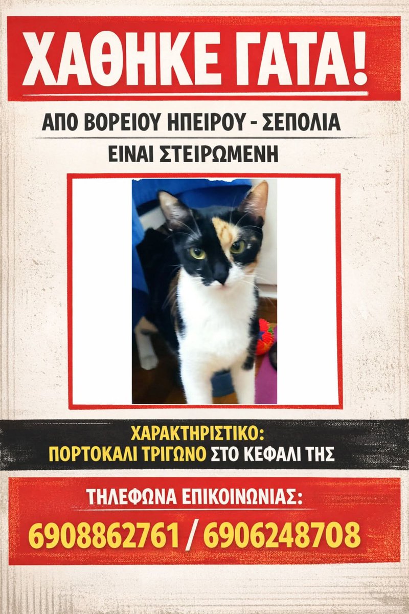 Χλε_Μπονα Σαμερ tweet media