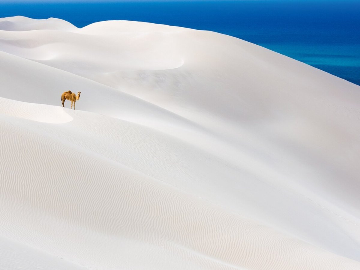 mahfildijital's tweet photo. 📍 Yemen'deki Socotra Adası'nın beyaz kum tepeleri. https://t.co/QM307WwWVD