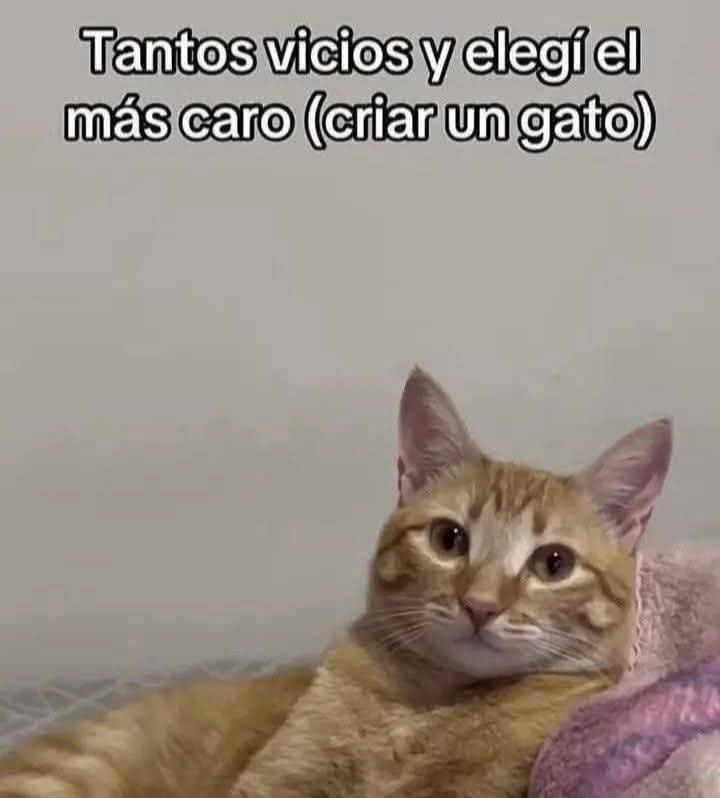 piña sin pizza (@skereunpesado) on Twitter photo 