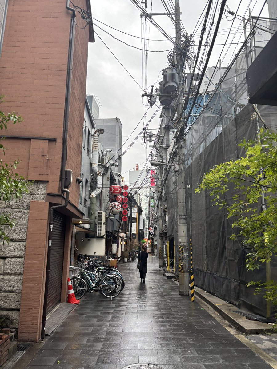 Dan In Japan tweet media