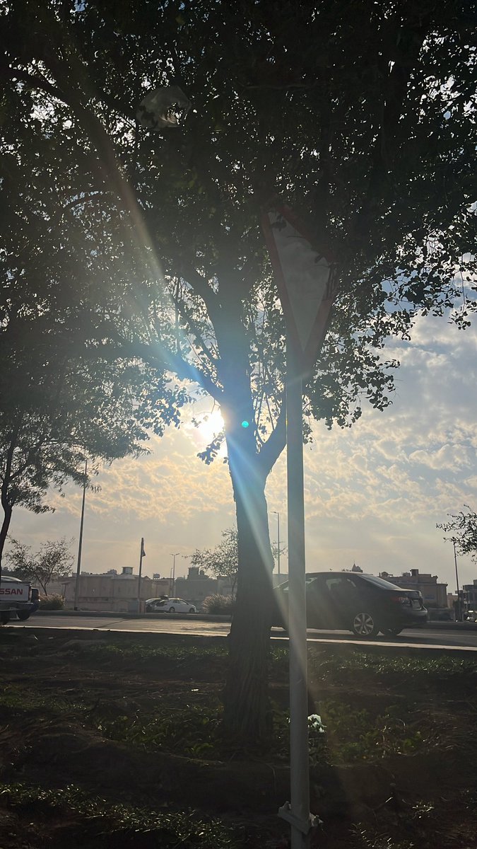 bytheway فيصل tweet media