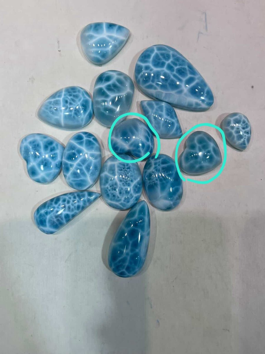 리시아 tweet media