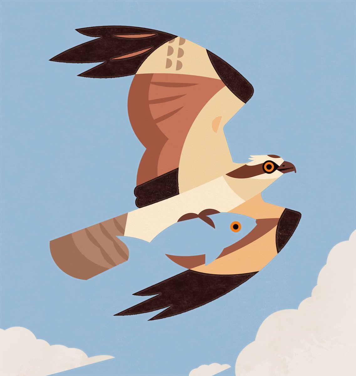 Alex Tomlinson 🦉 tweet media