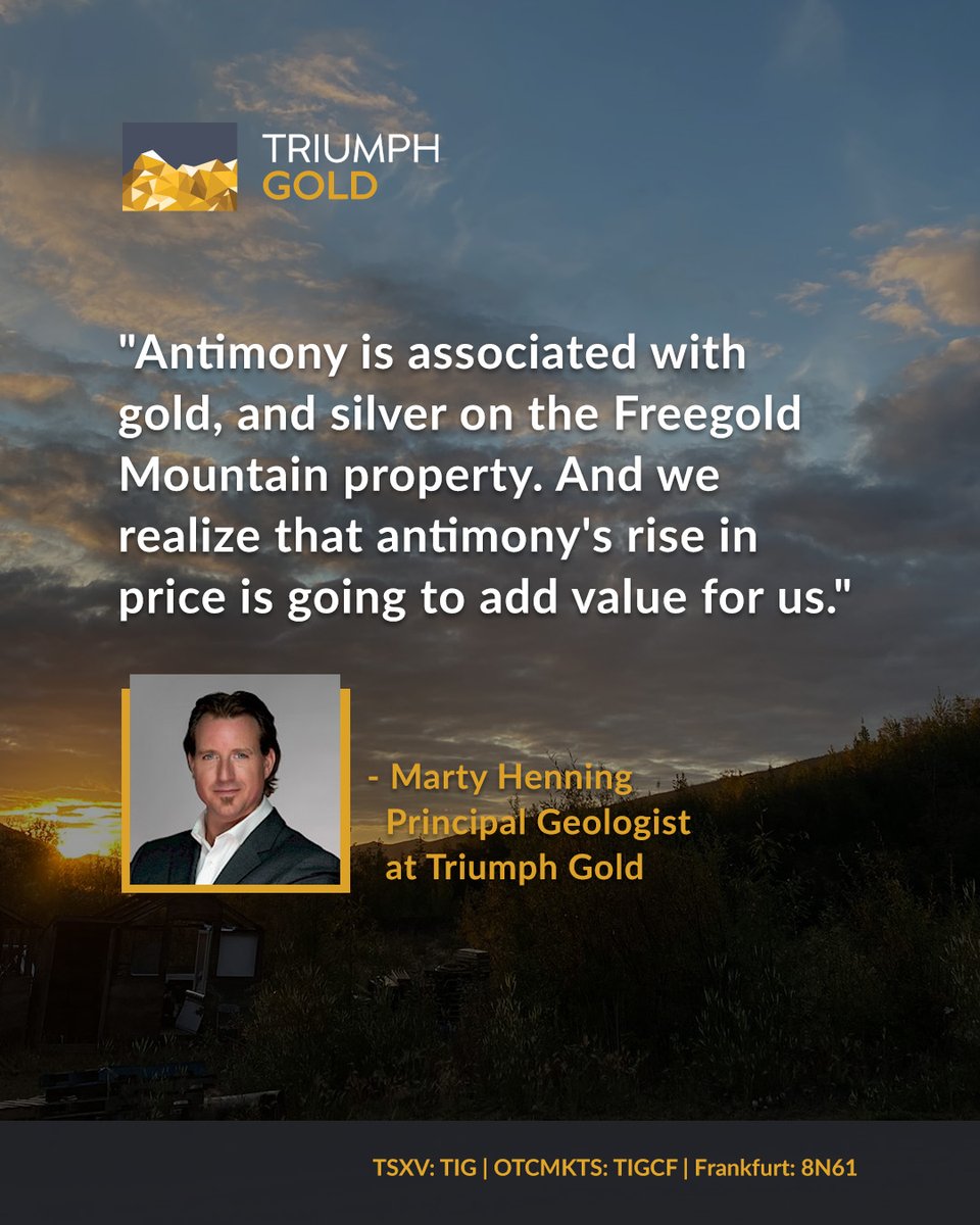 Triumph Gold Corp tweet media