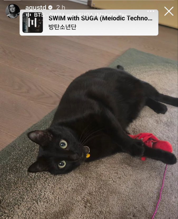 ɪ ѵ ᴜ ⁷ 🧸🪐 tweet media