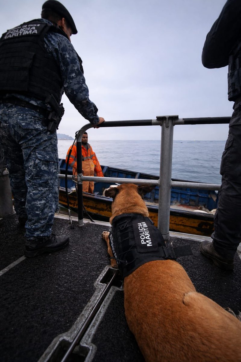 En el marco de planificación de las operaciones de la Capitanía de Puerto, se efectuó un patrullaje marítimo por la LPM, Policía Marítima y binomio canino, con propósito de verificar zarpes y reforzar la seguridad. Cursándose 11 citaciones en las caletas de Guayacán y Coquimbo.