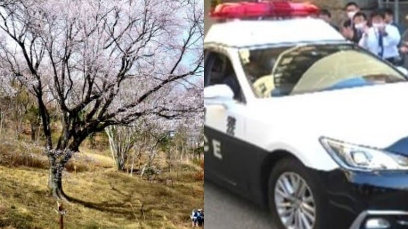 ライブドアニュース tweet media