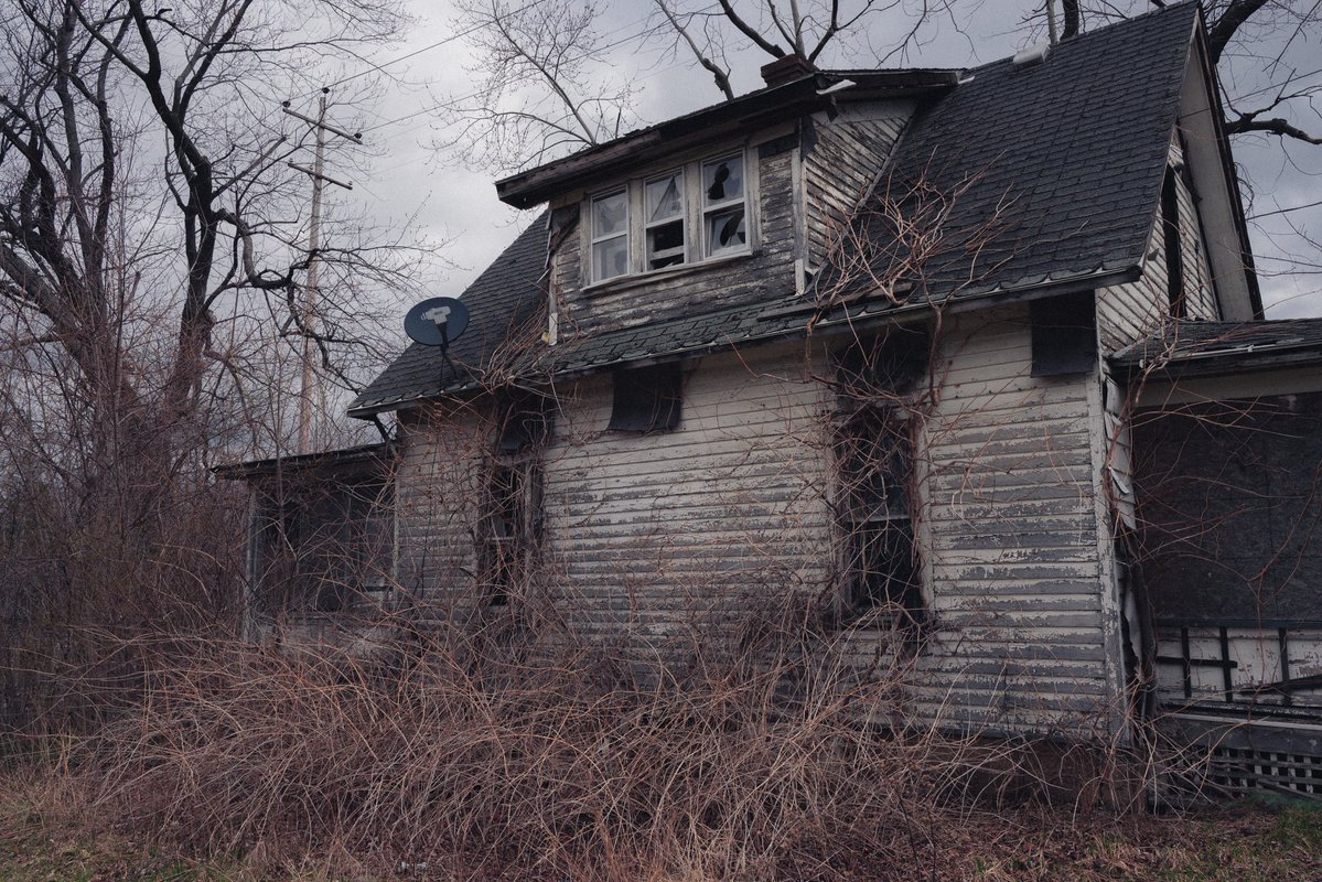 levi 😸 tweet media