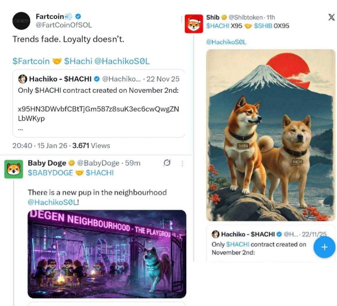TIGERS CALLS tweet media