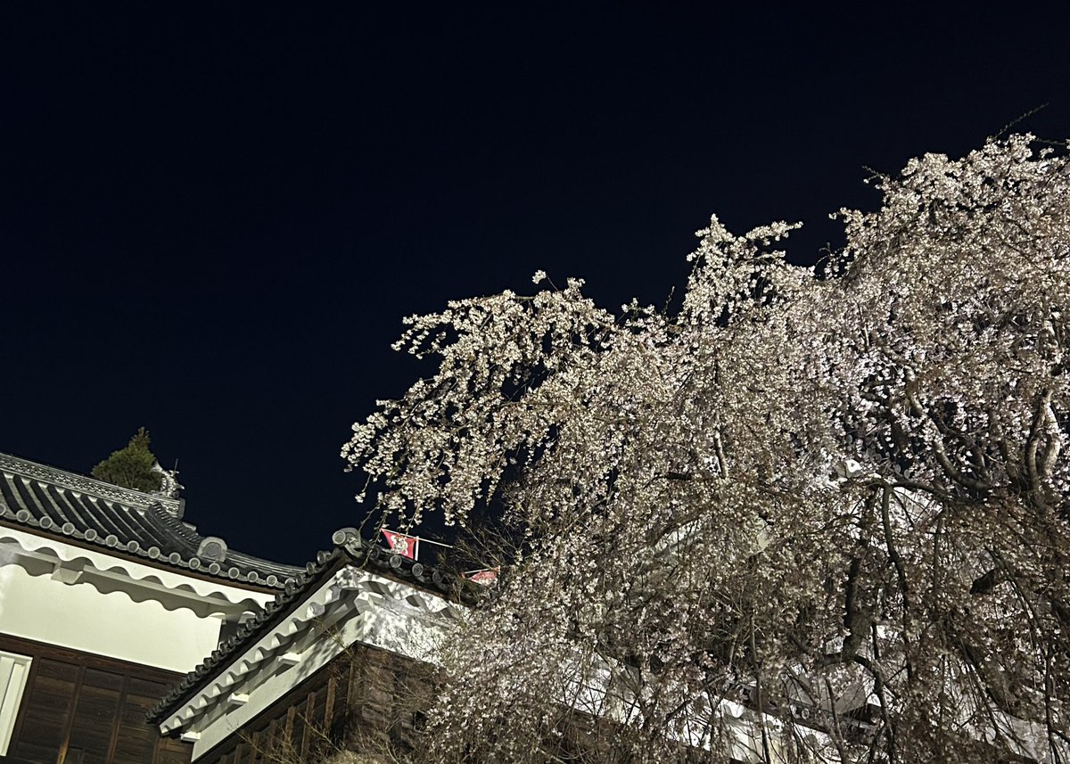 ﾐﾁｶ tweet media