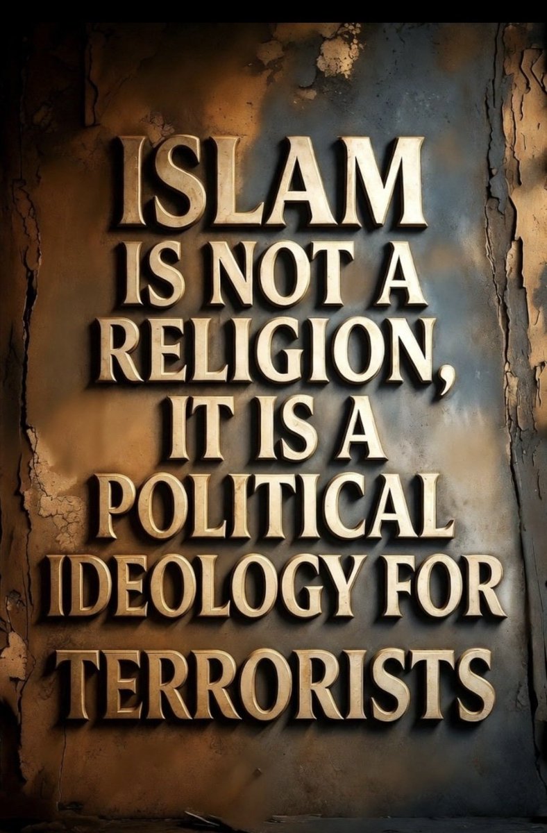 Thomad 🇺🇸 tweet media