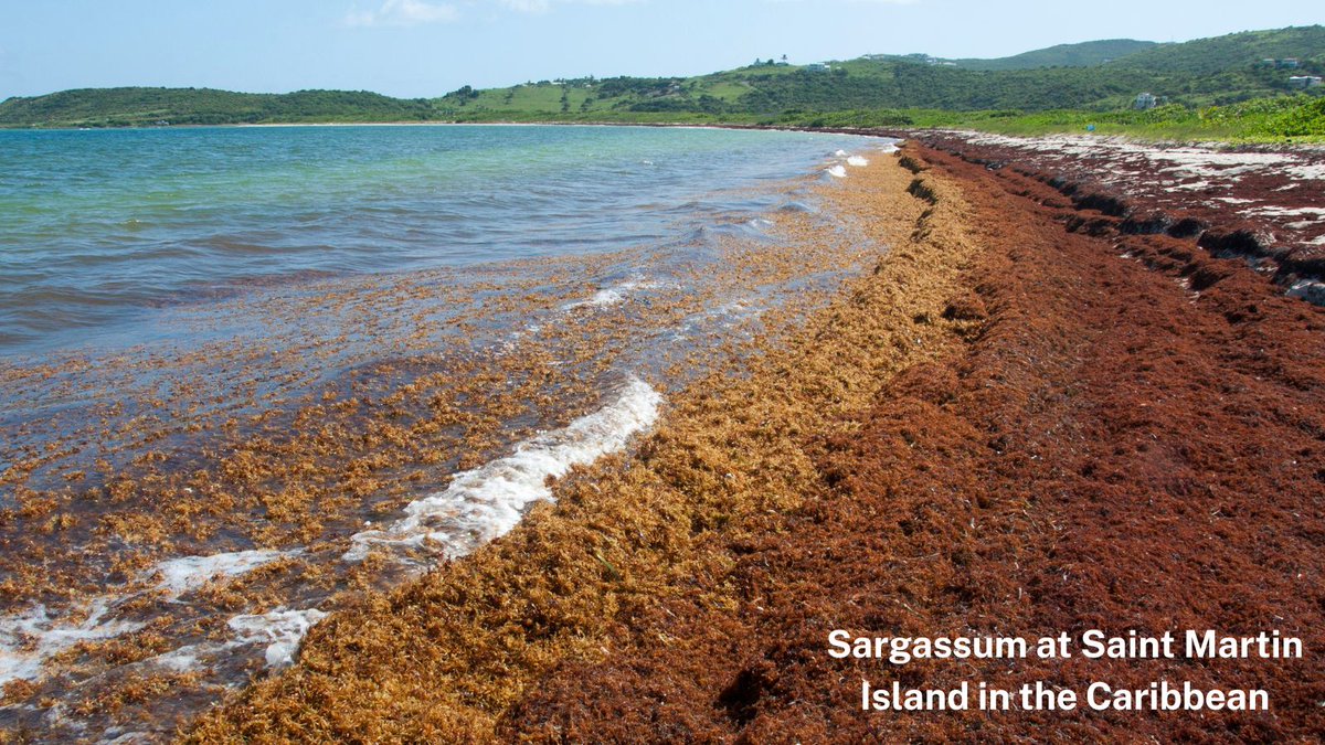 NOAA Satellites tweet media