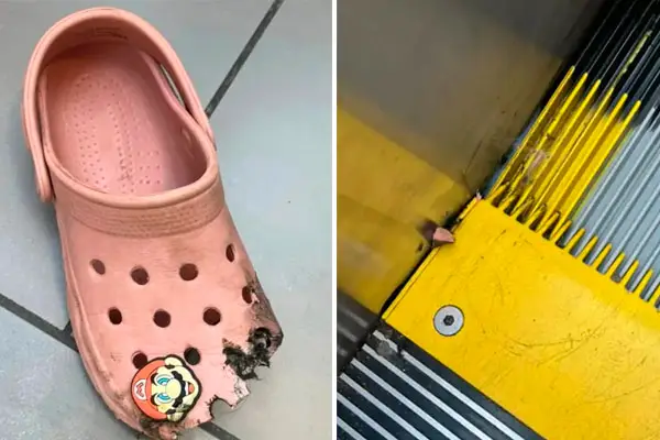 🏴Ⓐ 𝕯𝖆𝖓𝖎𝖊𝖑 𝕯𝖚𝖋𝖋 𝕾𝖆𝖓𝖟𝖆 ᶠᶠᶜ tweet media