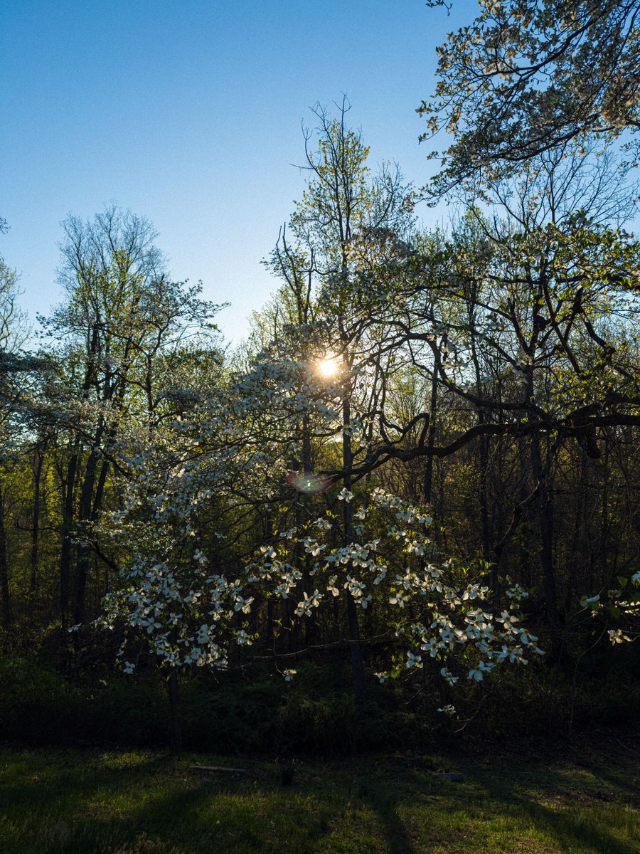 David Wilder tweet media