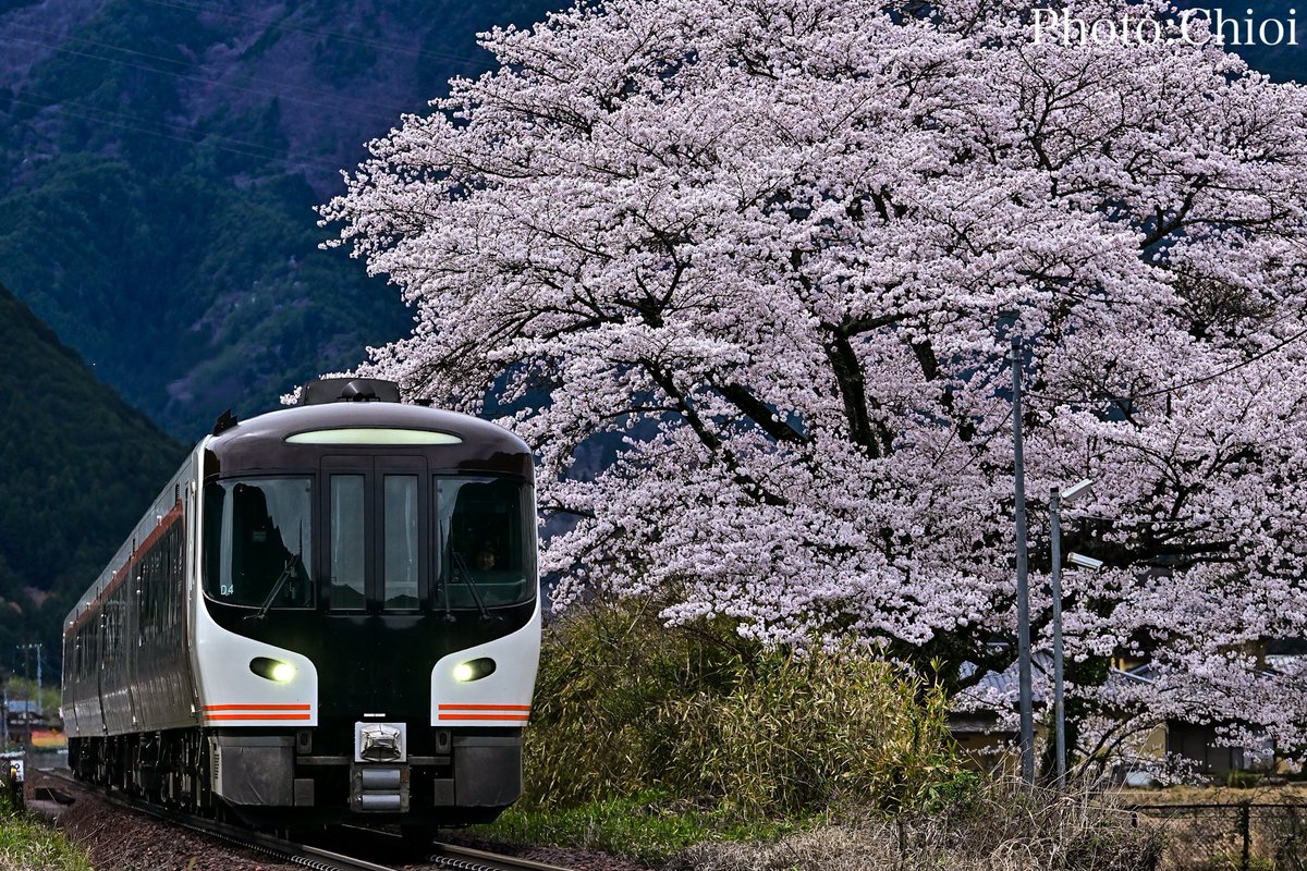 ちおい tweet media