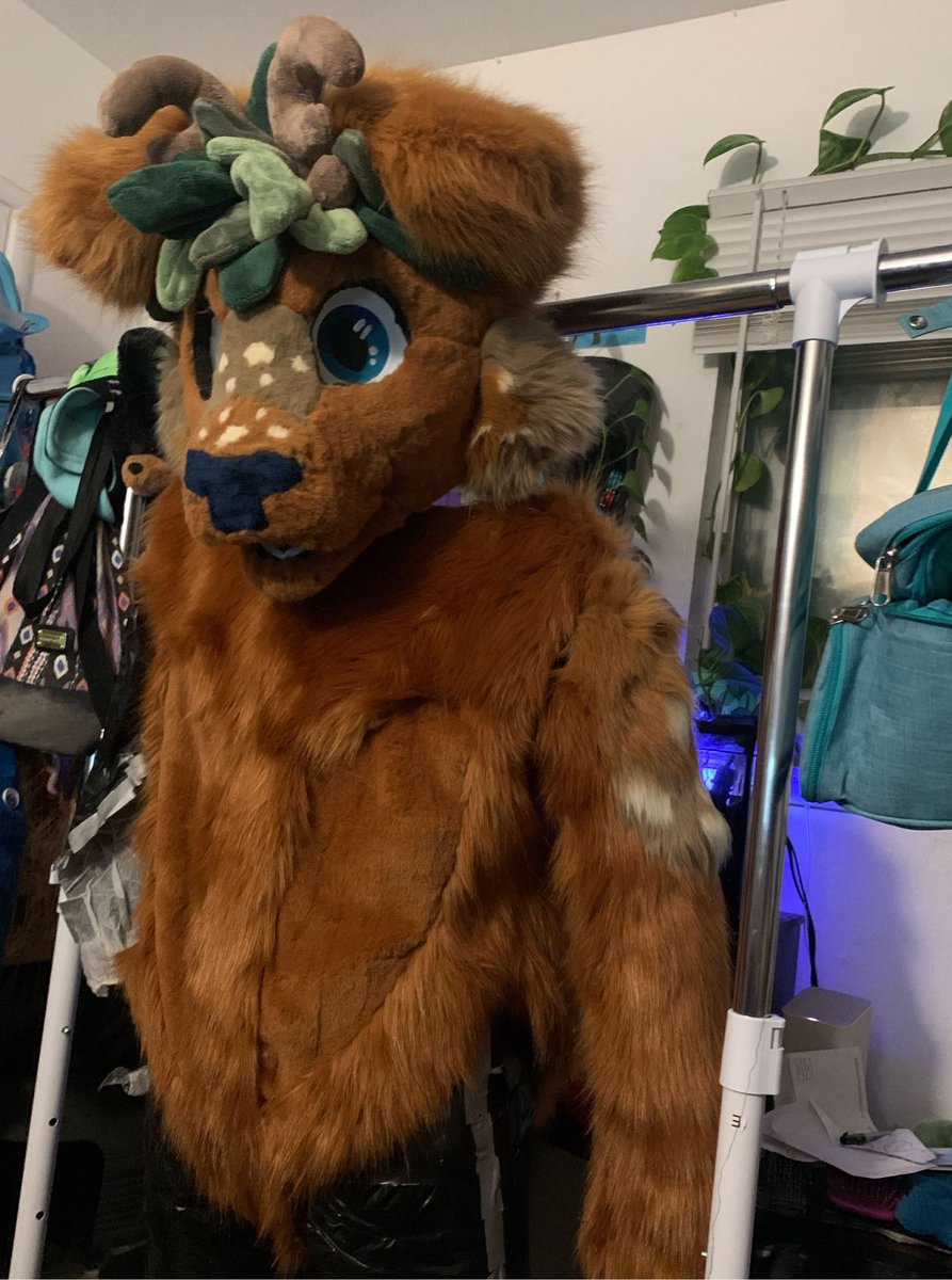 Blucolliecrafts's tweet photo. The animatronics get alittle quirky at night 

First fullsuit com wip for Ginger with antlers https://t.co/dXasYsM7Vf