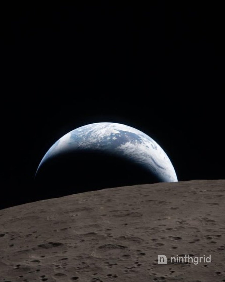 ninthgrid tweet media