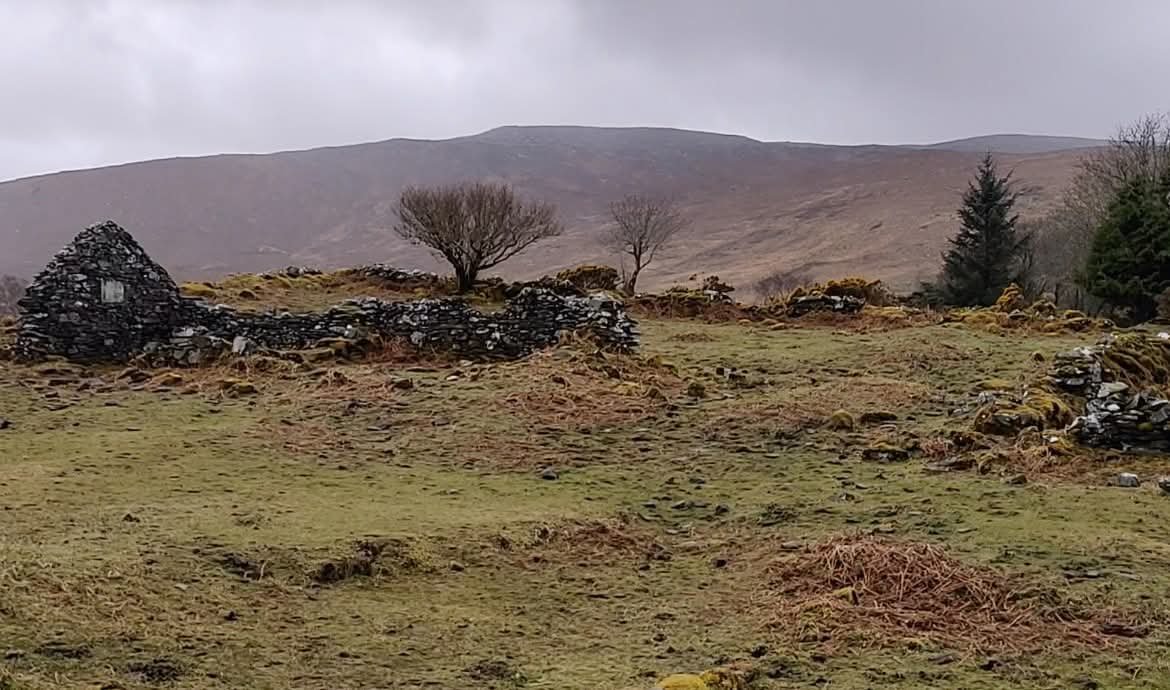 Gweebarra Conservation Group tweet media