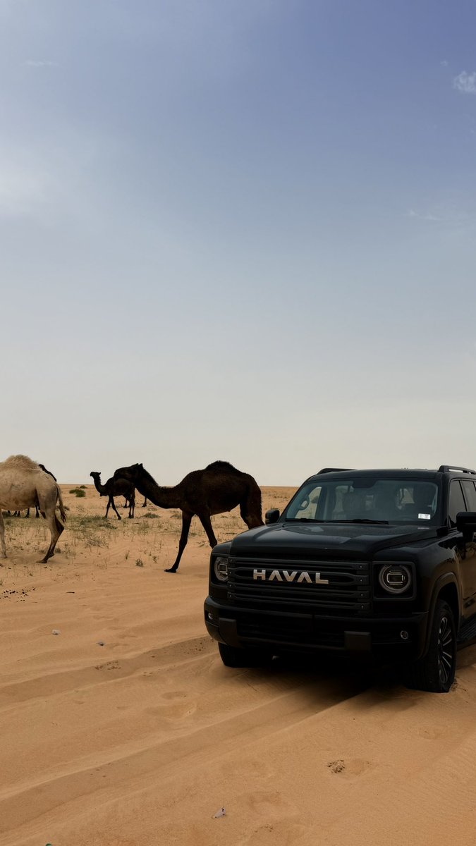 Dr.mohammed 🩺 tweet media