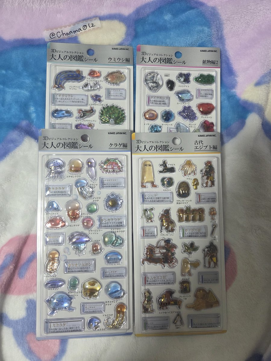 ハチワレ🍆 tweet media