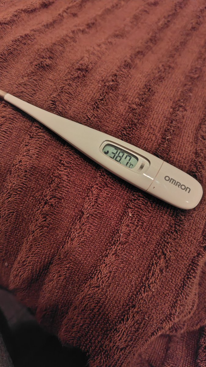 ねこの⚡️俊介 tweet media