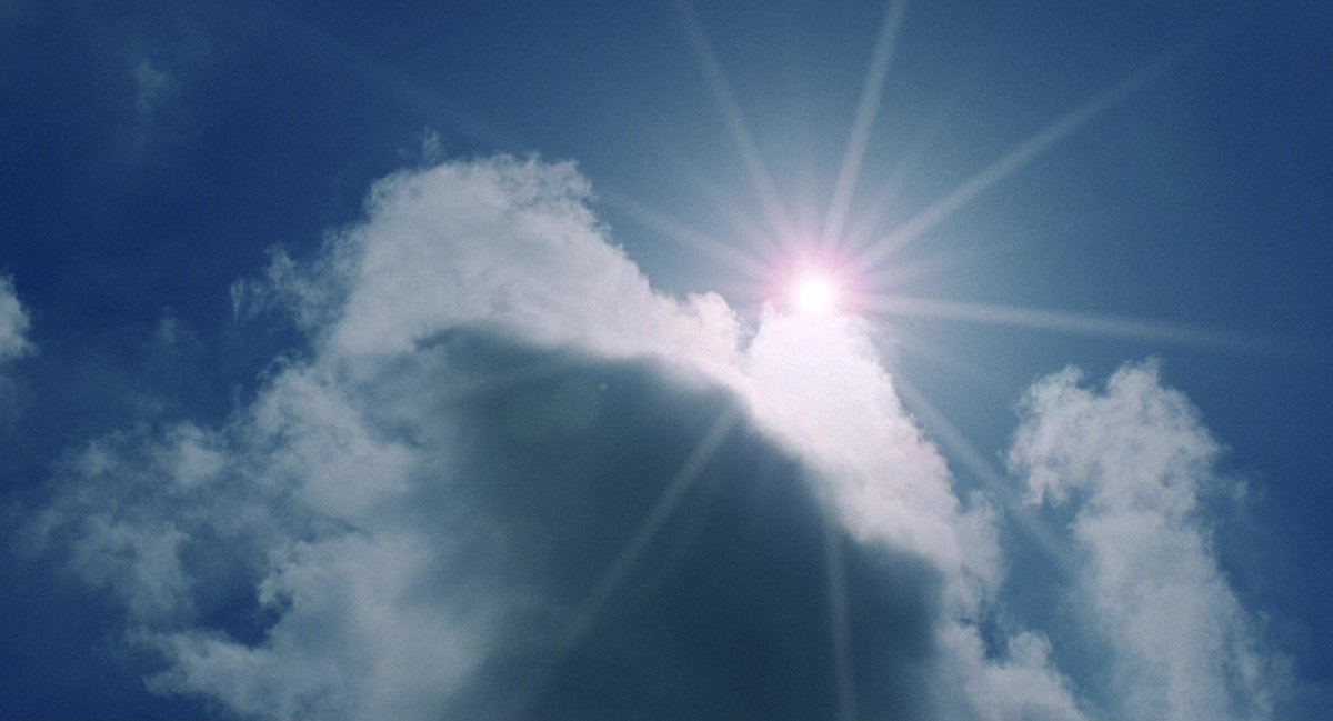 FilmFrame tweet media