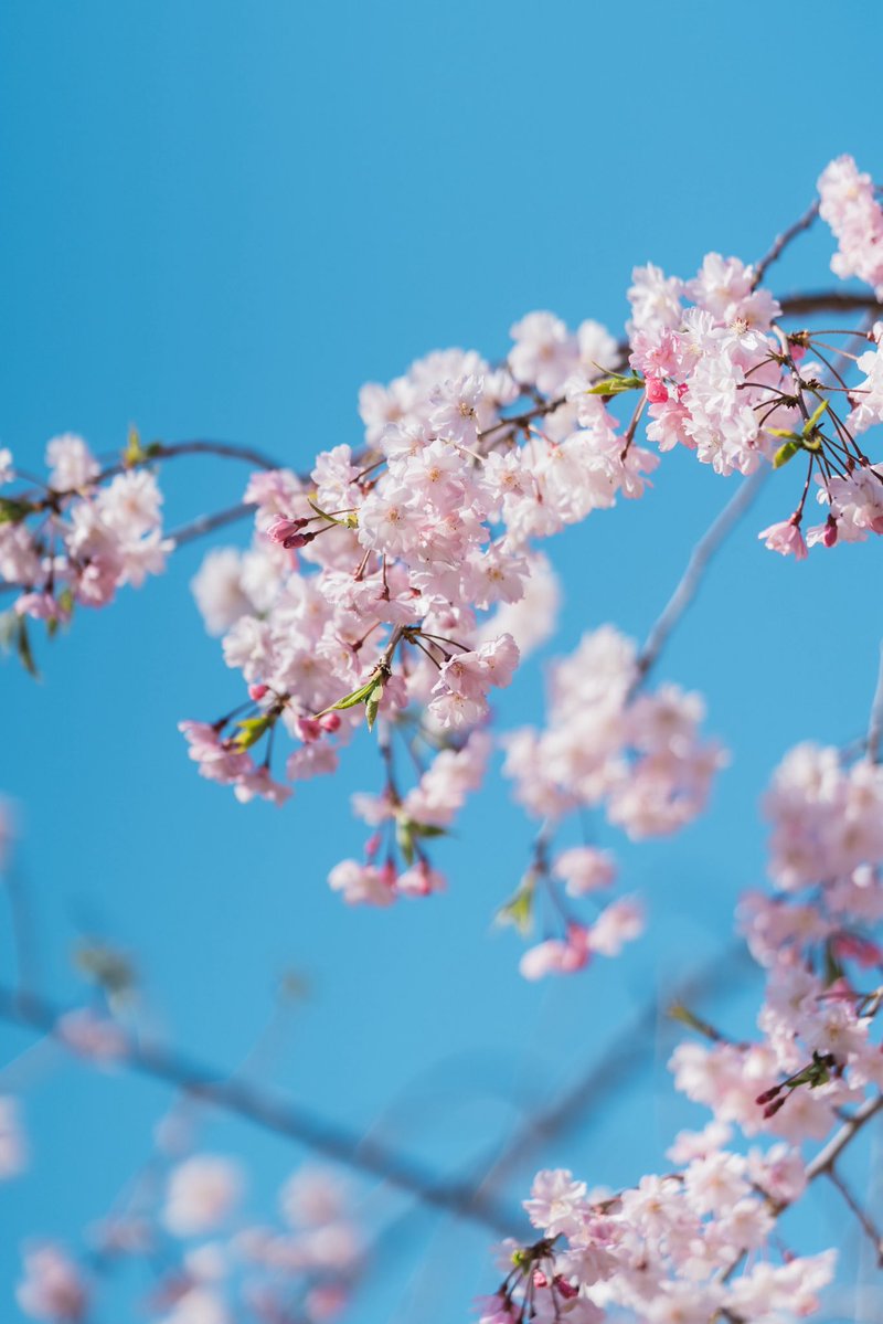 たける tweet media