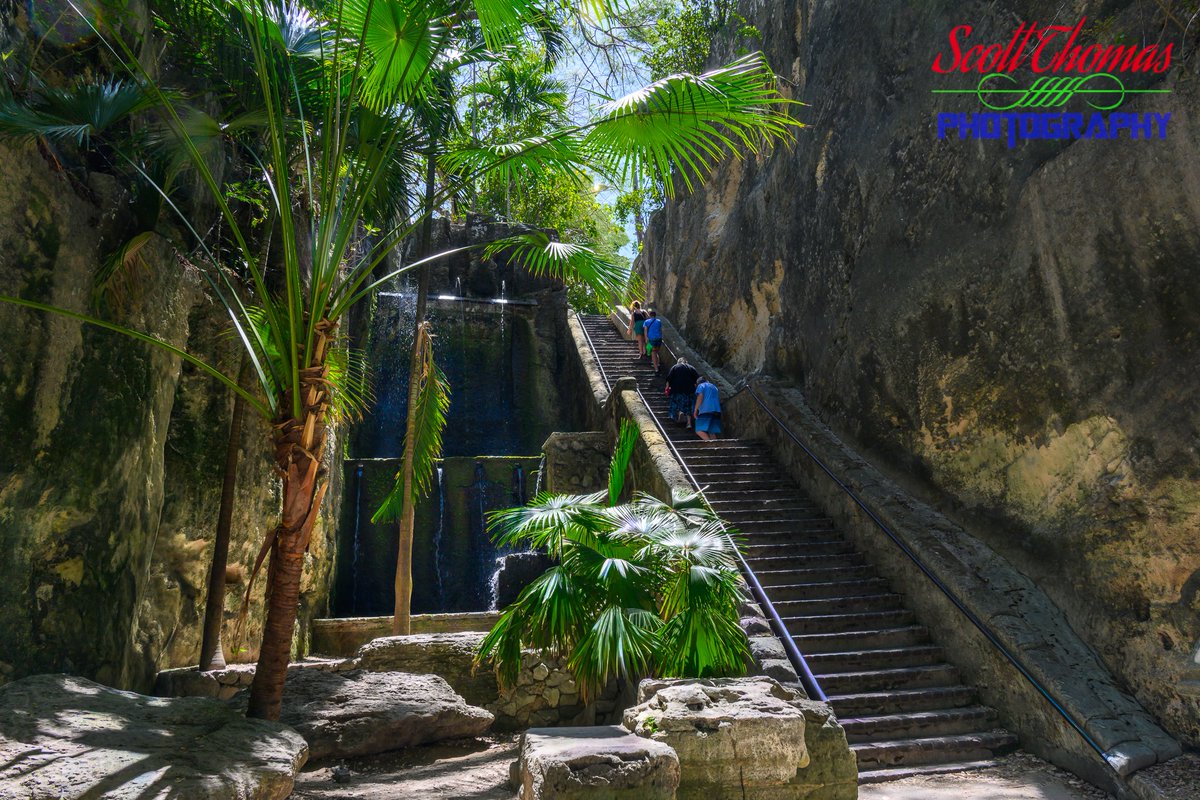 sthomasphotos's tweet image. Tourists climb The Queen's Staircase's 65-steps of limestone walkway carved by enslaved people between 1793 and 1794 to connect Fort Fincastle to the city of #Nassau, The #Bahamas on New Providence island.

Another popular site on Nassau I have visited before. This time I had new