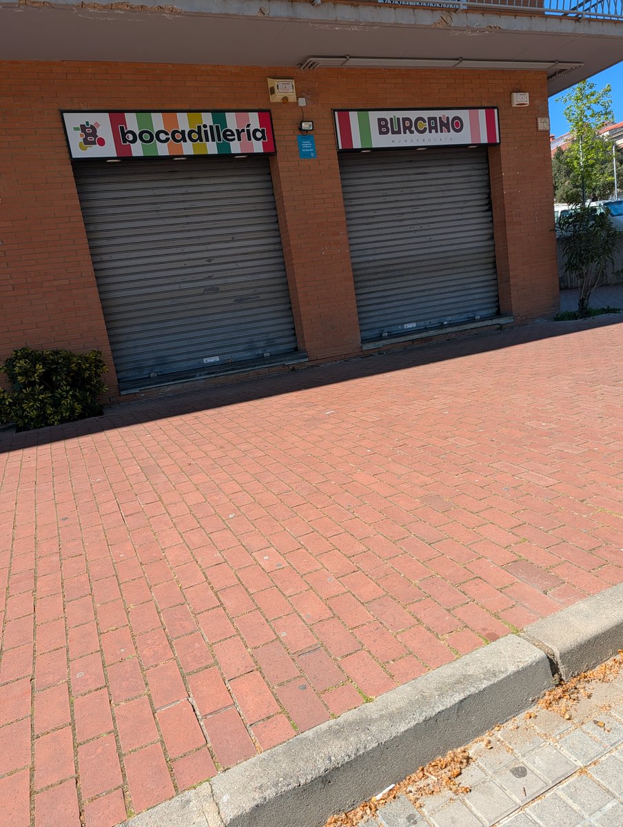 miqu3l m0la ||*|| 🇵🇸 tweet media