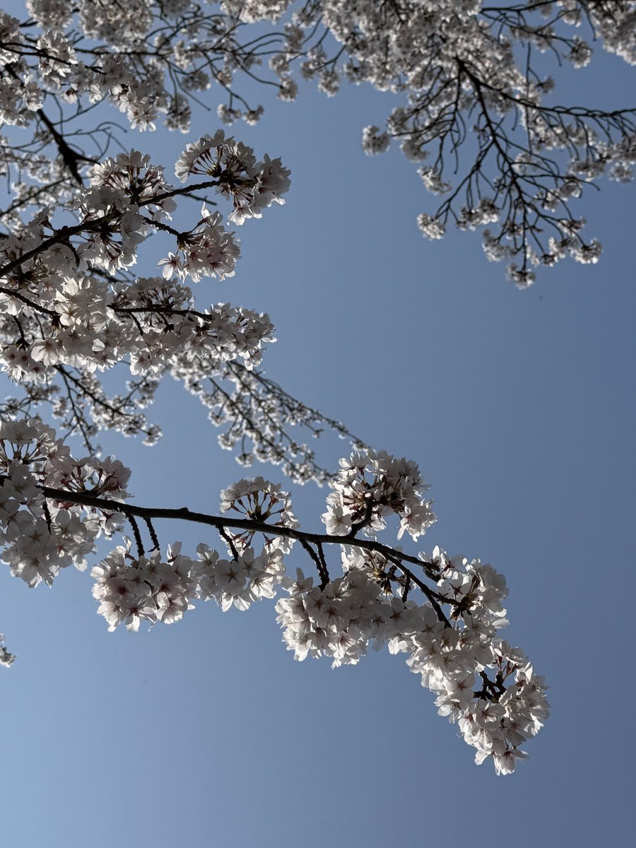 ⋆˚࿔ tweet media