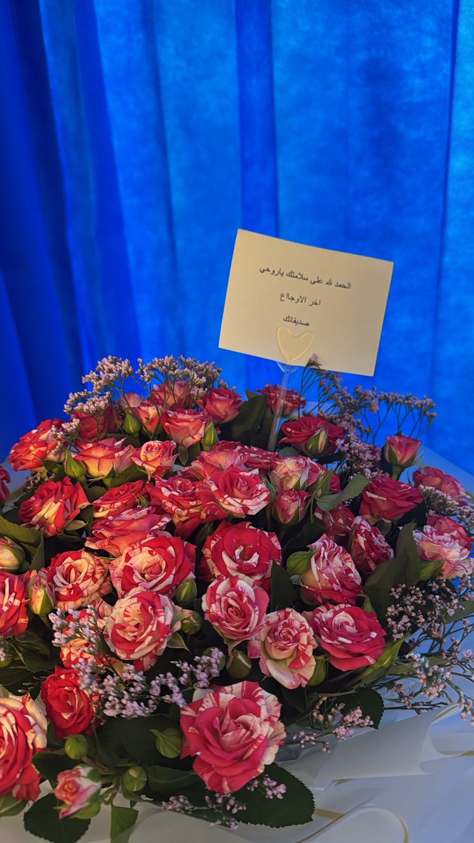 DPT Nouf Alotaibi tweet media