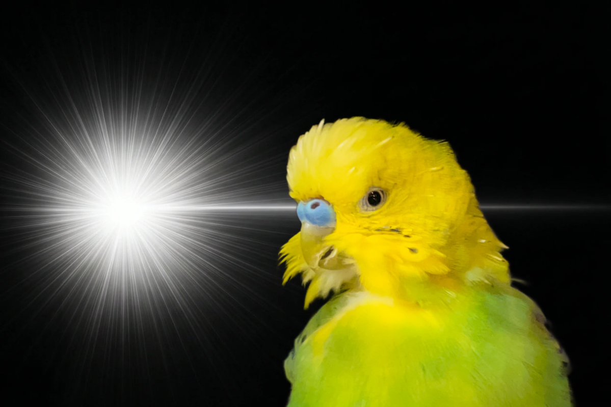 𝕠𝕙𝕒𝕪𝕠𝕜𝕠💙💛 tweet media