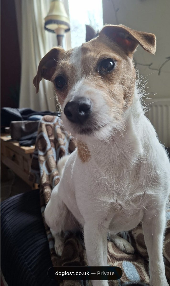 Rosie Doc tweet media