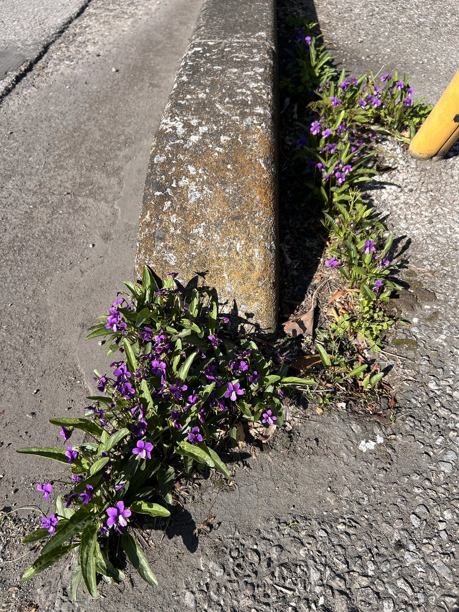 🌱🦋🌱Akiyama🐞🌱🐞 tweet media