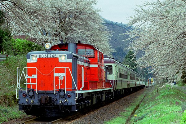 大出かず夫(64) tweet media