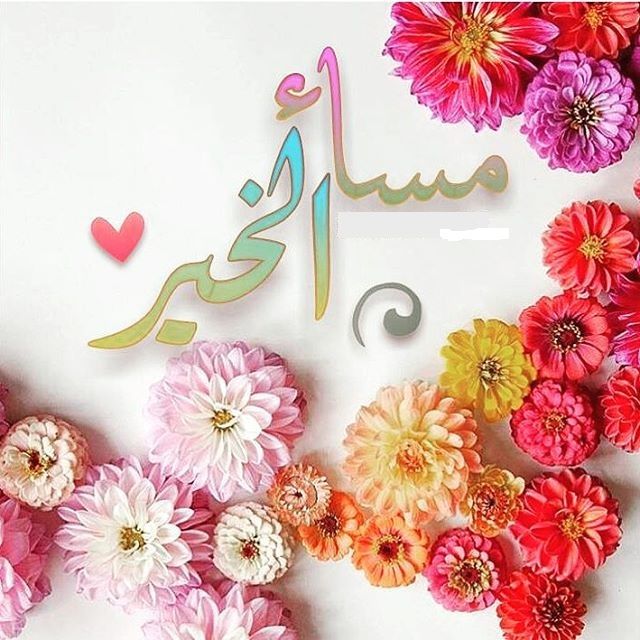 قطرالندى tweet media