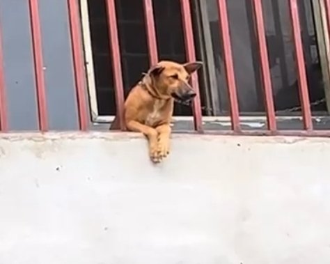 That decent bad guy😈 tweet media