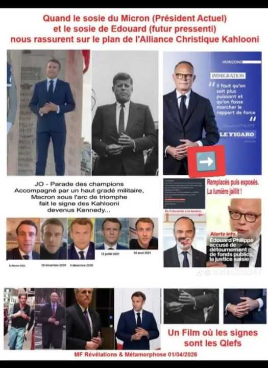 pascal pecoraro tweet media