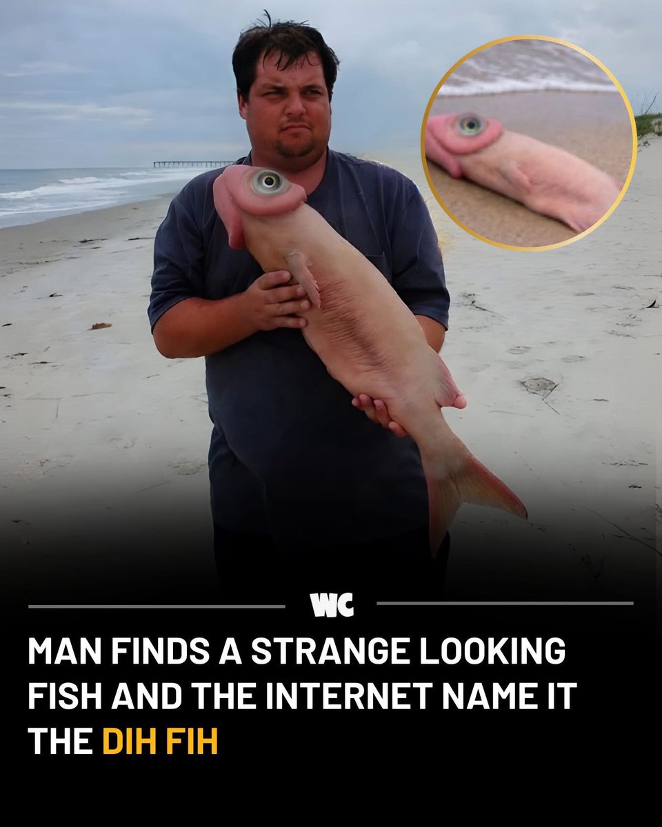 Mr PitBull tweet media