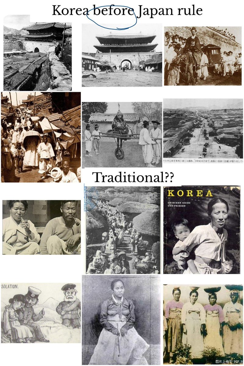 ショーン🌸不退転 tweet media