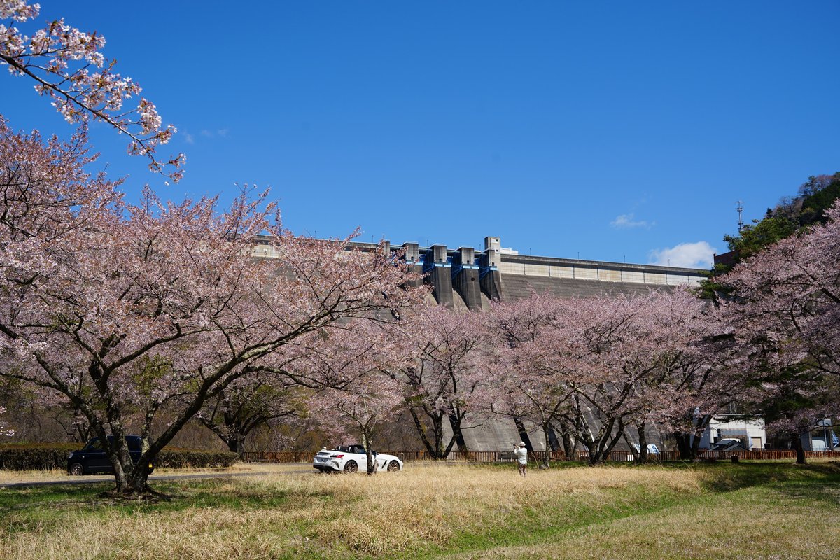 Duke_Mohumohu's tweet photo. 草木ダム下流水の広場付近にて　2026.04.08撮影

#DAIHATSU 
#MoveCanbus 
#LA850S 
#α7CII 
#Tamron35150mm https://t.co/EKquxkksQm