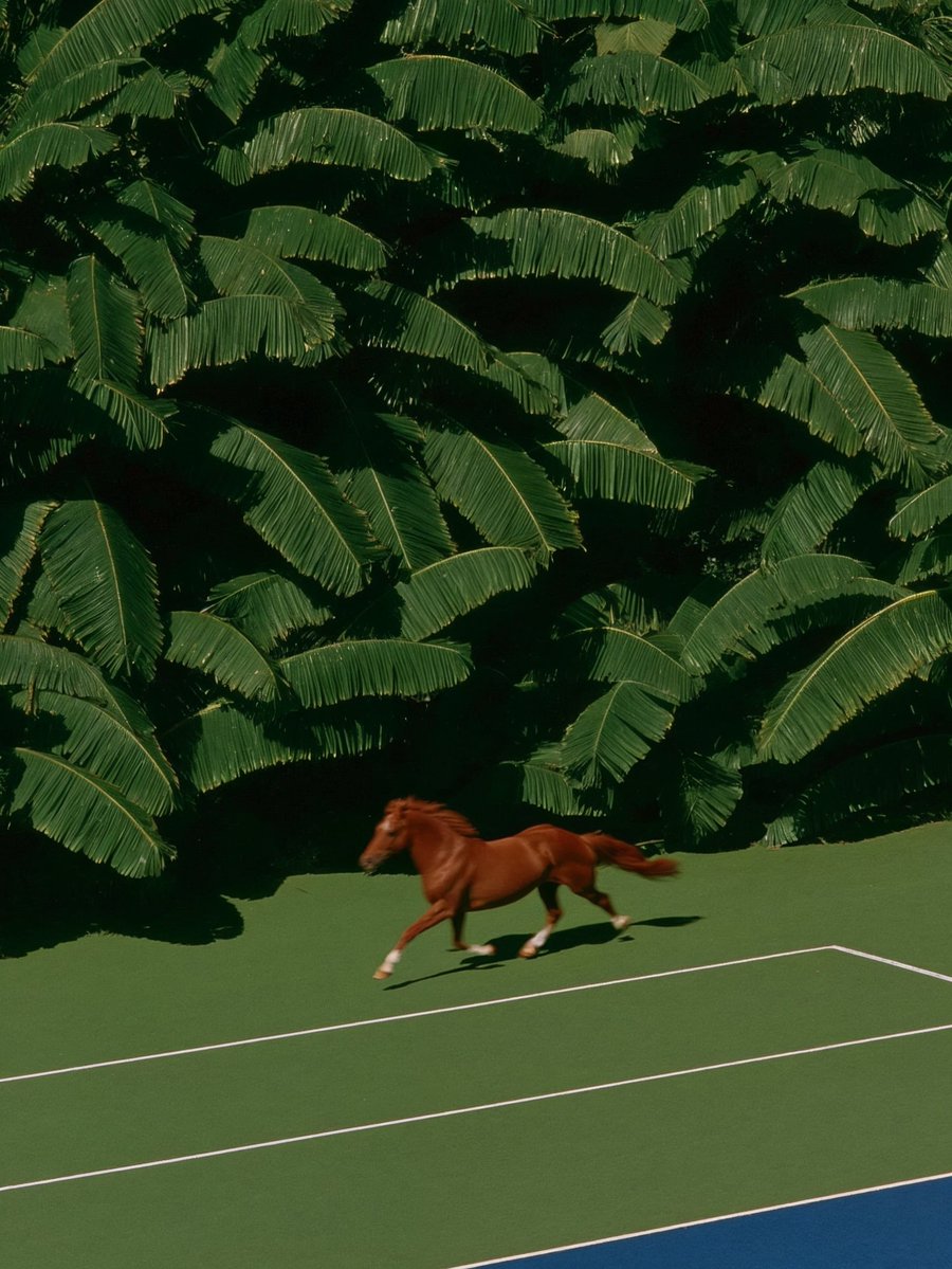 The Nature tweet media