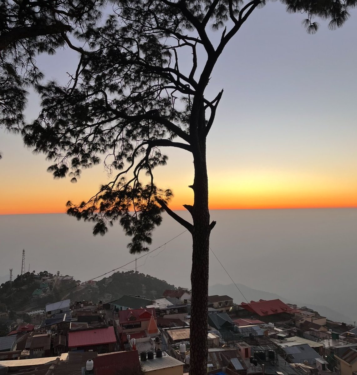 Jyoti Thakur🐦🔥 tweet media