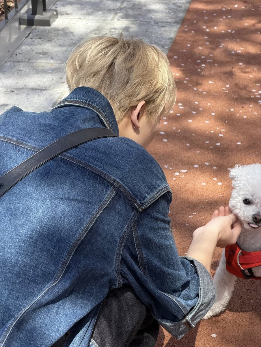 만듀 . . 🥟 tweet media