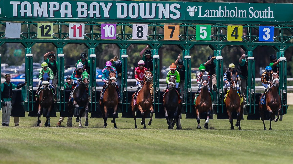 Bobby At The Spa | Horse Racing tweet media