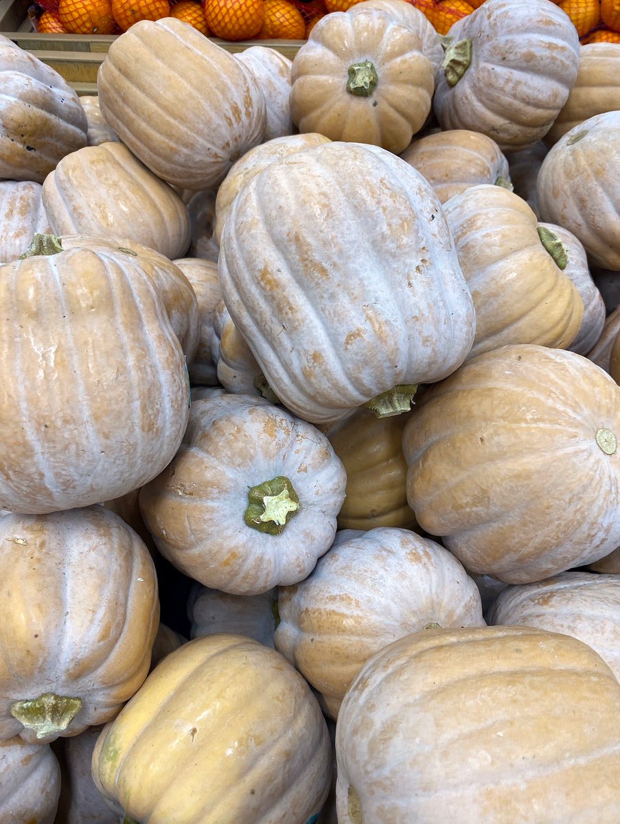 DeborahLeagueFA's tweet image. Autumn harvest of heirloom pumpkins.  Part of my neutral art for interiors collection.  Perfect for collectors seeking calming, sophisticated decor.  

ART - deborah-league.pixels.com/featured/autum… 

#ayearforart #buyintoart #wallart #homedecor #artforsale #artprints #luxuryinteriors