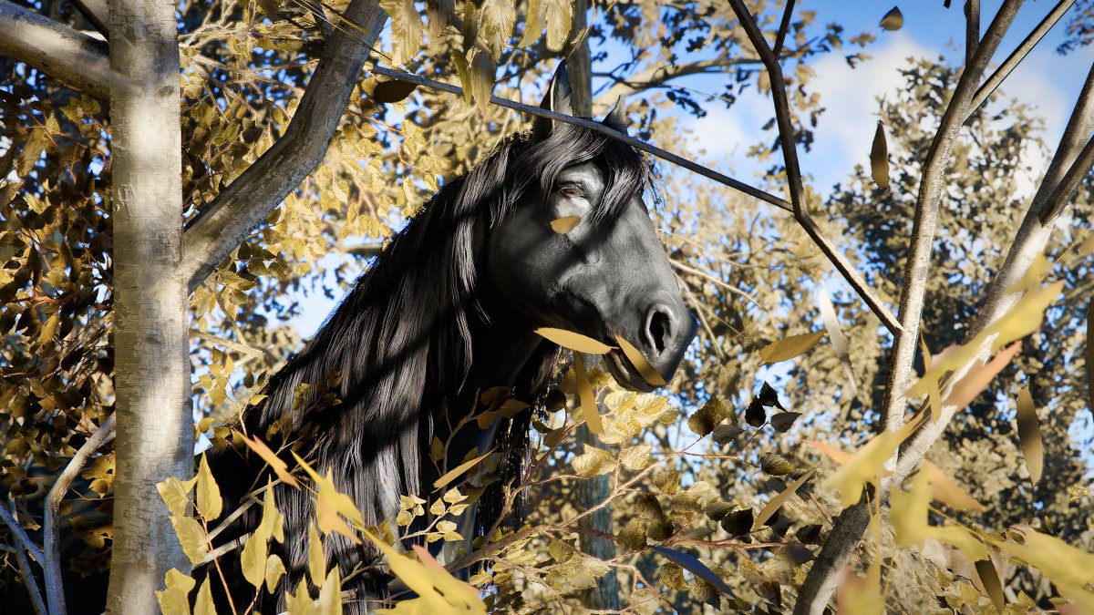 Ayghan 📸 tweet media